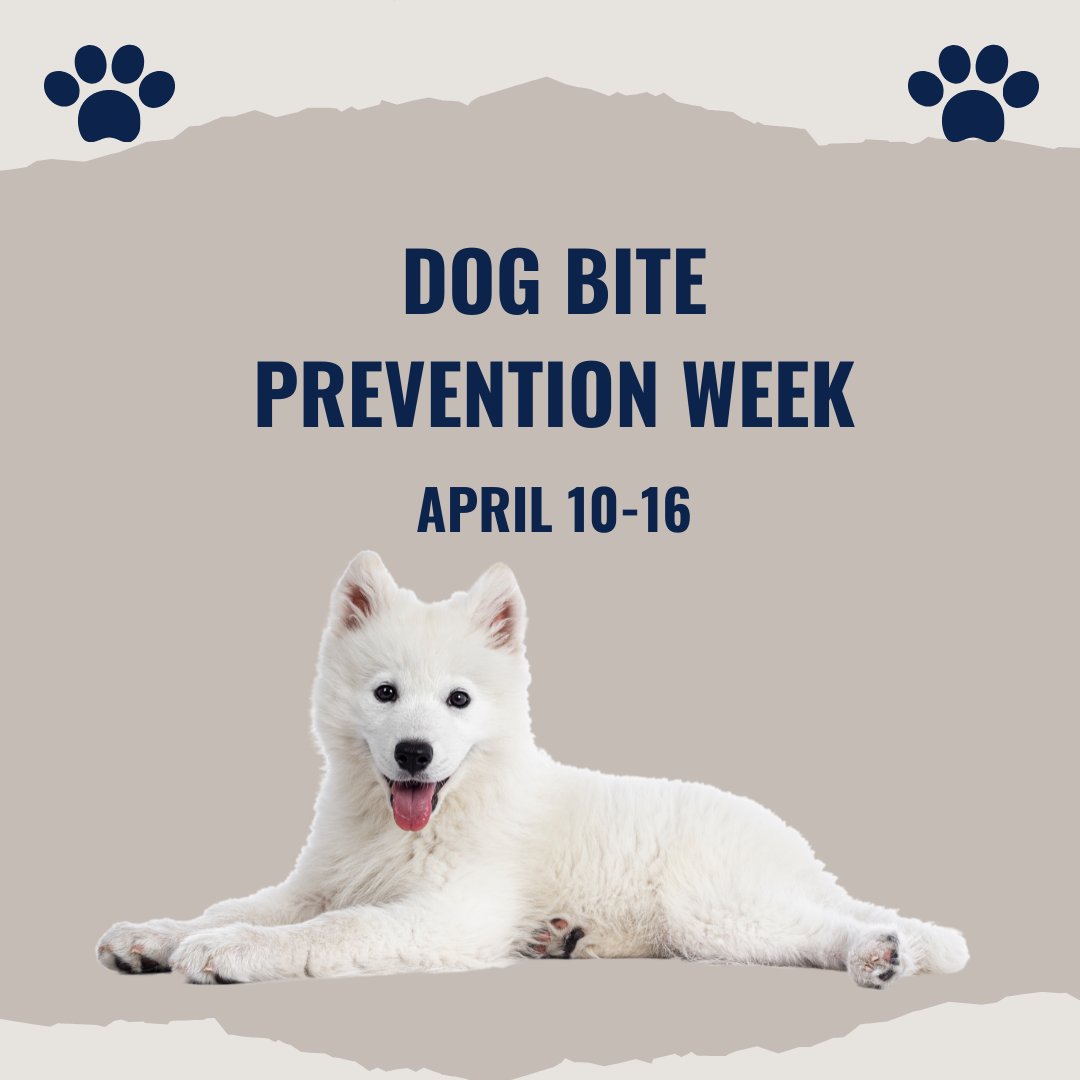 Did you know that most dog bites are preventable? Here are some tips from the AVMA on how to #preventdogbites! 🐶🐕 bddy.me/3v7zJEv