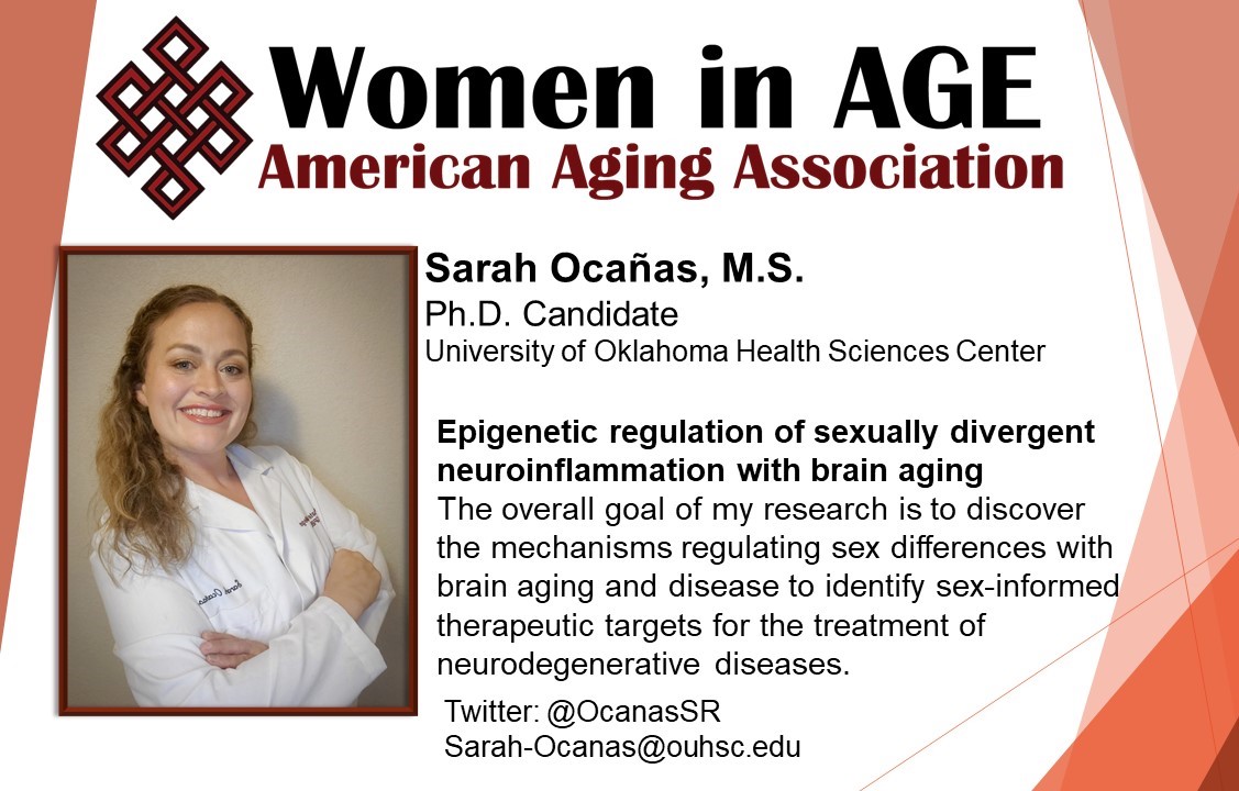American Aging Association on Twitter picture
