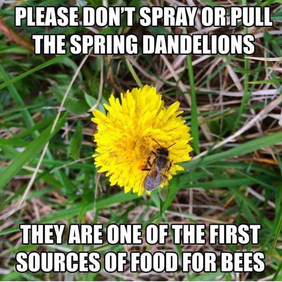 The Beehive (@beehivecalgary) on Twitter photo 