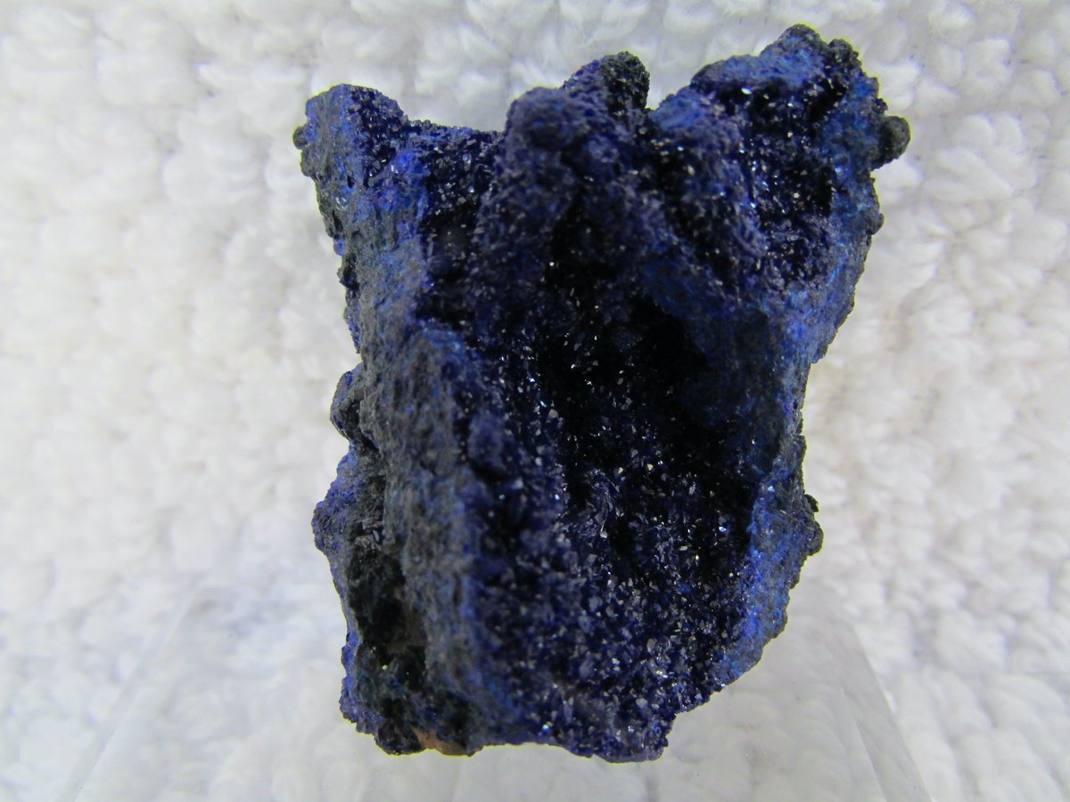 Bisbeeborn1's tweet photo. Sunday's Featured Mineral
Eye catching small miniature azurite  from Bisbee, Arizona.   Even in low light this one shimmers.
Specimen size (approximately):
3.5 x 3 x 2.5 cm
https://t.co/vp1gJVbD2d
  #minerals #azurite #crystals #mineralcollecting #Bisbee #fineminerals https://t.co/Q6PrzKO9yx