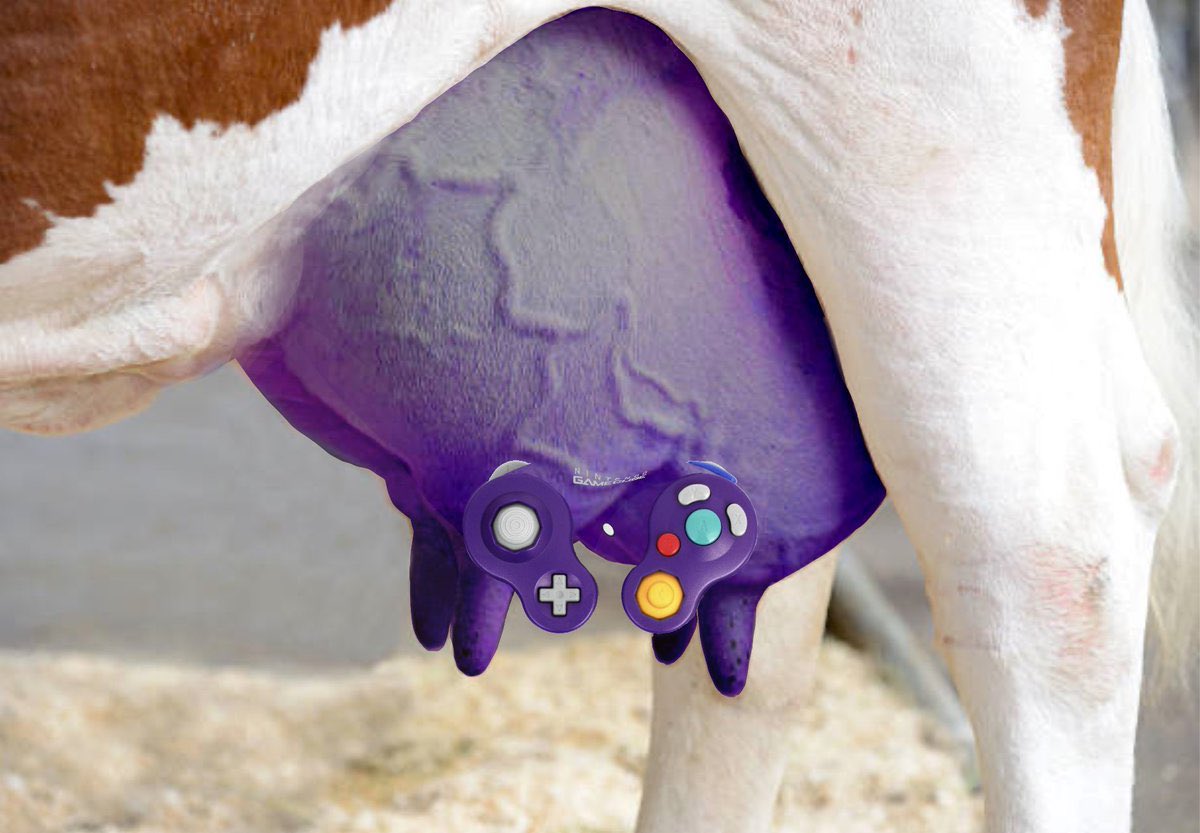 What’s your favorite GameCube game?