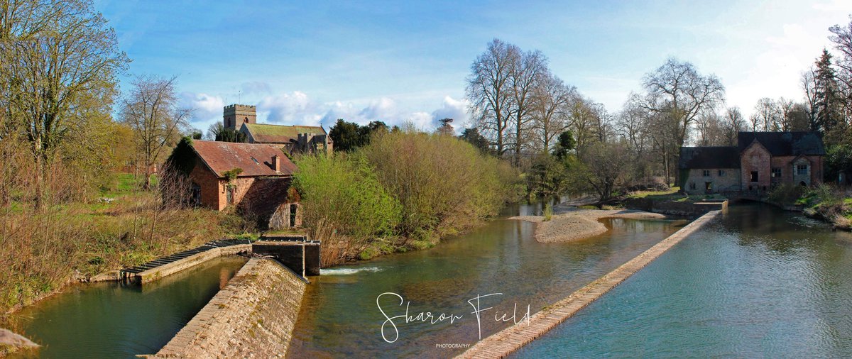 SharonFieldPho1's tweet photo. Bromfield Corn Mill and Saw Mill. A pair of mid 1800s water-powered mills on either side of the River Teme which were fed by a V-shaped weir are part of the Oakly Park Estate. The mills, weir and bridge over the river are all listed structures.
#Shropshire  #countrysidewalks https://t.co/4EQwTbNN11