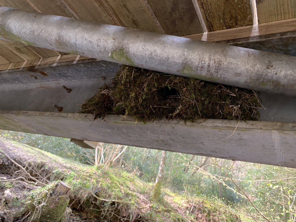 Matt Collis tweet media