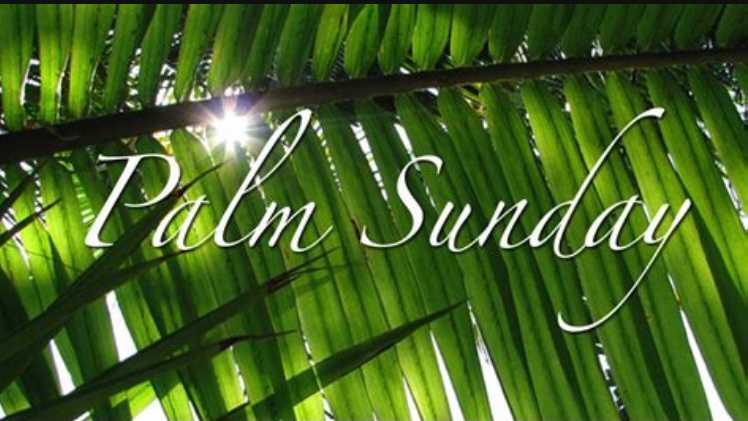 ElectNoelle's tweet photo. Happy Holy Week to you all! ✝️ https://t.co/HrTJitYHbj