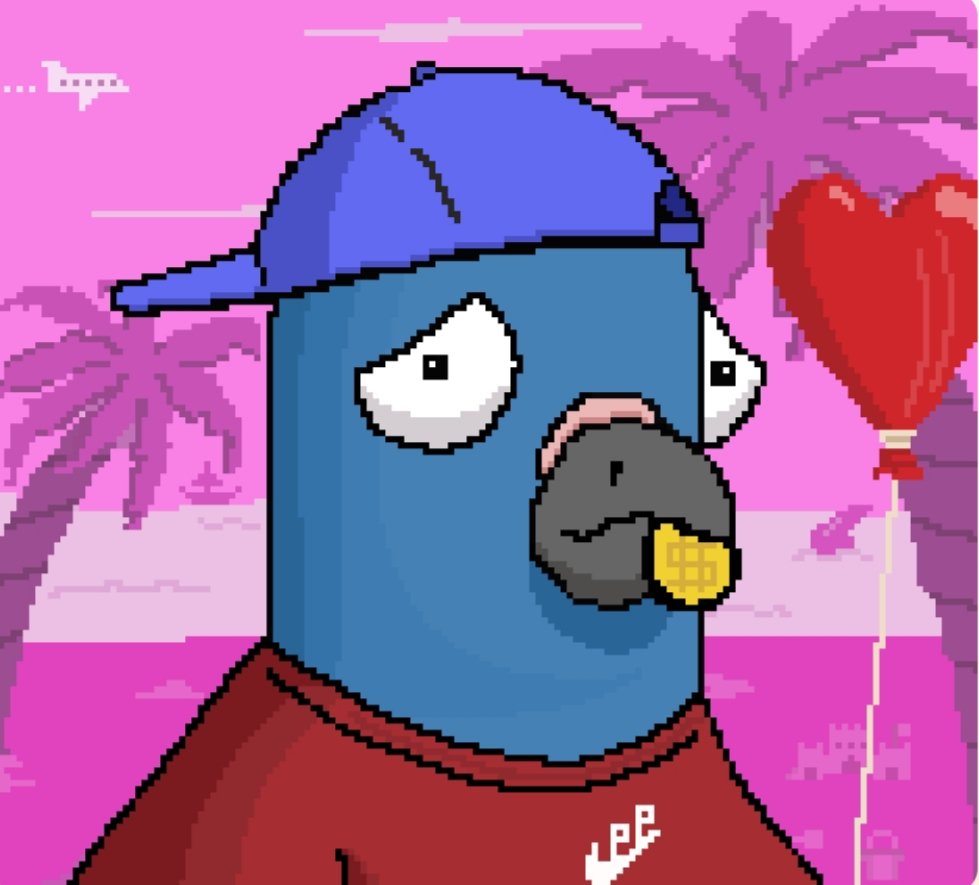 <a href="/ParaPigeonCrew/">Para Pigeon Crew 🐦</a> Minting on Solana Now!
🐦🐦🐦🐦🐦🐦🐦🐦