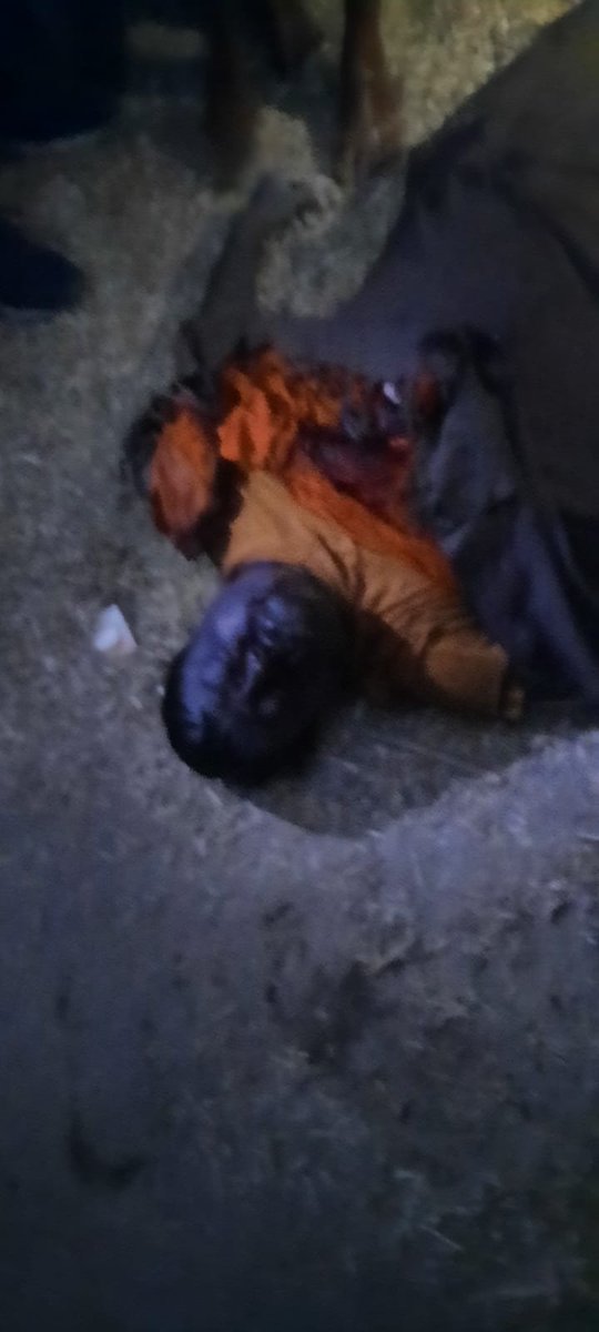 SDRF BIHAR tweet media