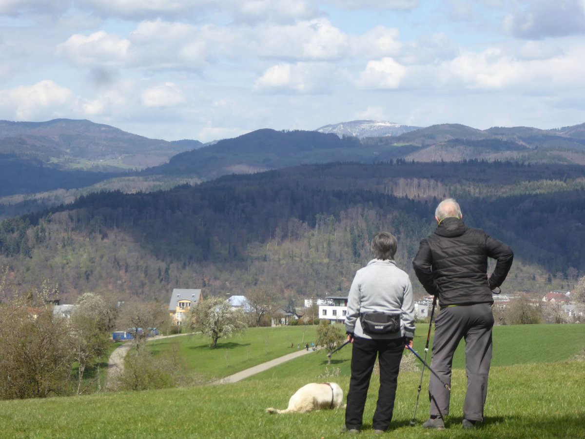 HSderSchreiber's tweet photo. Was will man mehr: Blick auf eine wunderschöne #Landschaft. Aus der Ferne grüßt der schneebedeckte #Belchen. Gesehen auf der #Hohen_Flum, Schopfheim-Wiechs. https://t.co/S2qN82iS5F