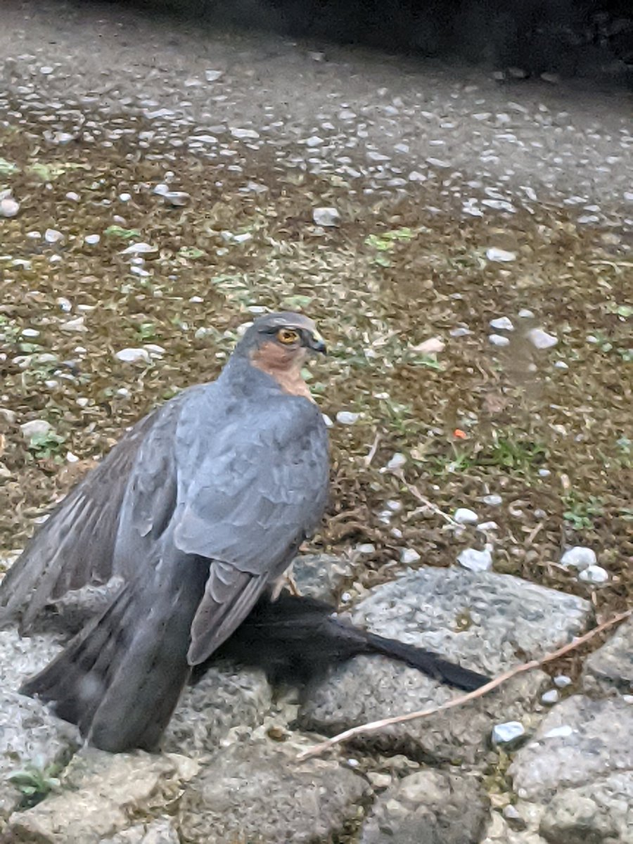 Savage....  
<a href="/johndews12_john/">John 🏴󠁧󠁢󠁥󠁮󠁧󠁿</a> 
<a href="/hawk/">Andrew Hawkins</a>