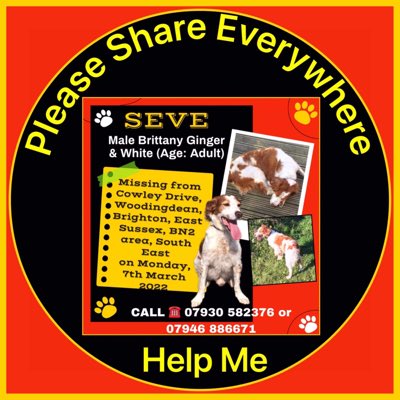 rosiedoc666's tweet photo. #NewProfilePic
#findSeve TWITTERSTORM STARTING AT 8pm till 9pm SUNDAY 10/4/22🆘
#Lost / #Stolen 🤔 from #BN2 #Woodingdean 7/3/22
He literally went out for a wee and VANISHED his family are so so worried
https://t.co/SkrlyiJWiD https://t.co/kbCl8zbLn8