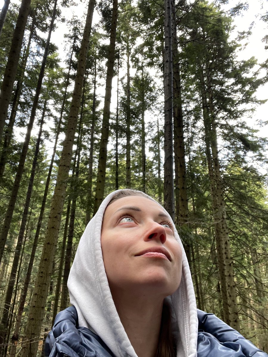 Alyona 🇺🇦 Briukhanova tweet media