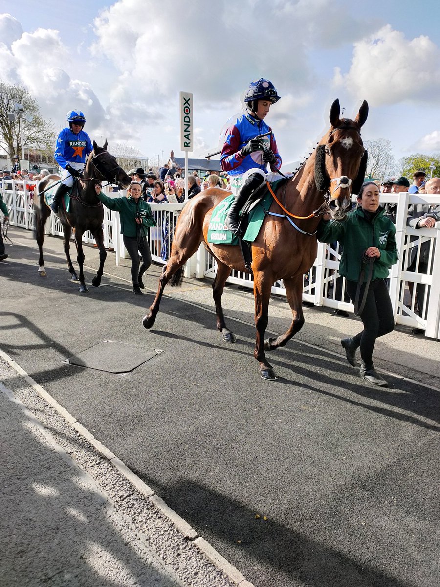TraceyDoxsey's tweet photo. @nolan_racing So very sorry for your loss, he looked a million dollars beforehand, thoughts and condolences with you all #RIPDiscorama https://t.co/10ebOdn5Jv