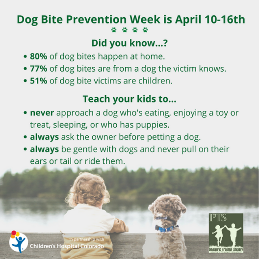 PediTraumaSoc's tweet photo. It’s Dog Bite Prevention Week! Check this link to learn more: https://t.co/Mo2iNVeWEL

#dogbite #peds #pediatrictrauma #peditraumasoc #injuryprevention https://t.co/bgWNuq74Y0