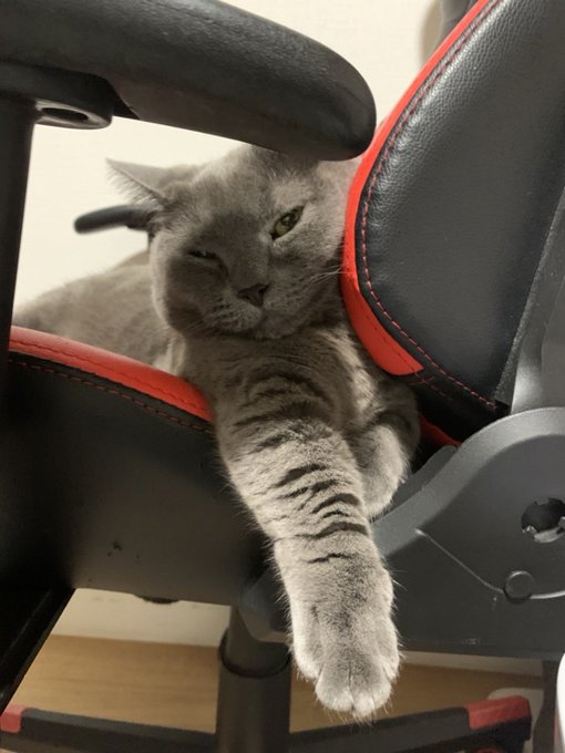 沈黙猫さんちの毛玉置き場のtwitterイラスト検索結果