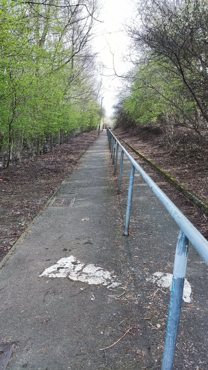 We were out this morning with <a href="/womenmatter19/">Women Matter</a> litter-picking one of the paths between Kinfauns Dr and Jedworth Ave. 16 bags later and it's looking much better! Well done everyone 🌳🚮

#keepdrumchapeltidy #glasgow #drumchapel #litter #community #keepscotlandbeautiful