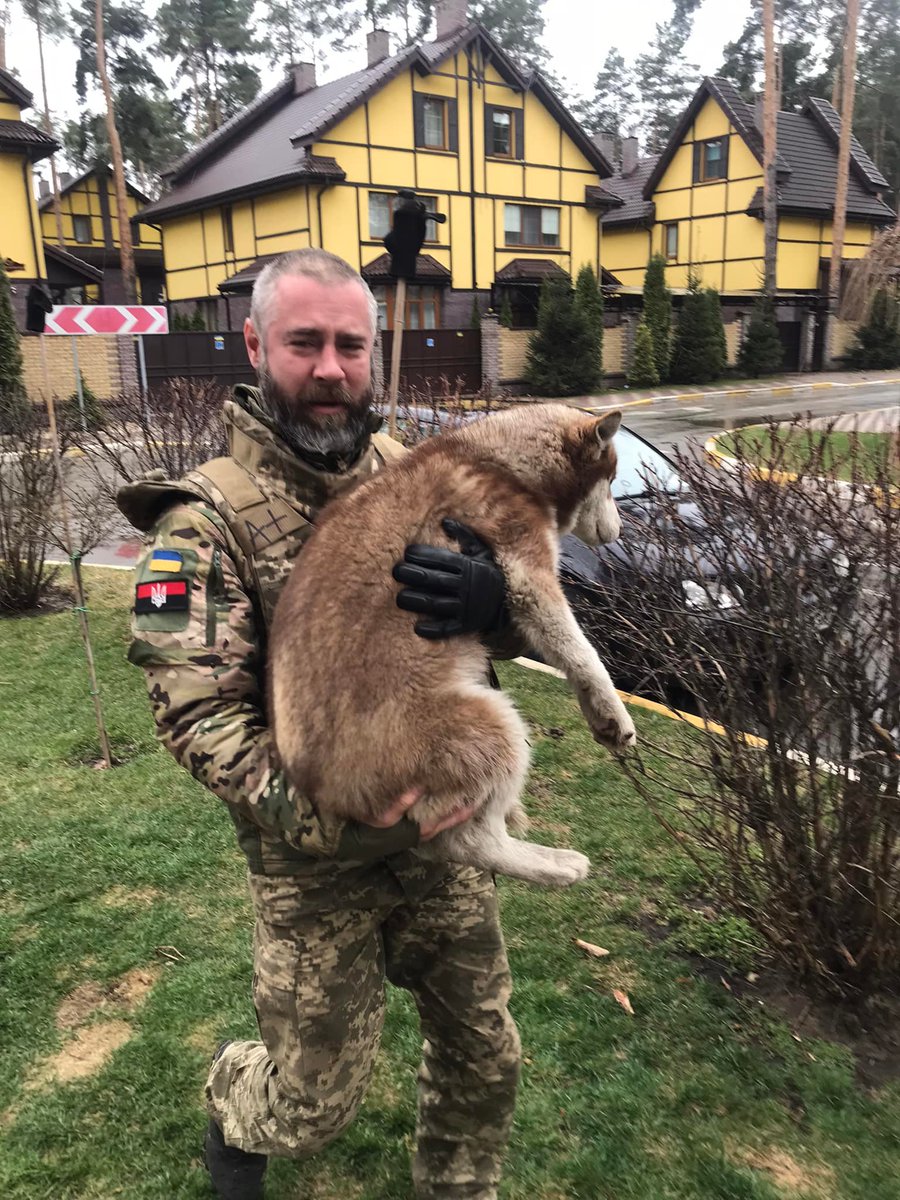 ukraine_world's tweet photo. #Bucha, people found a husky who was running around the residential area, and Andriy Smirnov posted about the search for the dog's owners on Facebook. 
And thanks to this, the owners had been found. 1/3 https://t.co/Wn6o8e0Geh