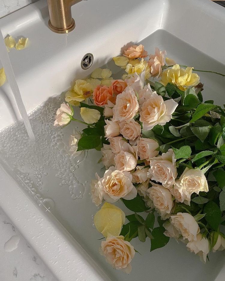 — happy sunday 🌼