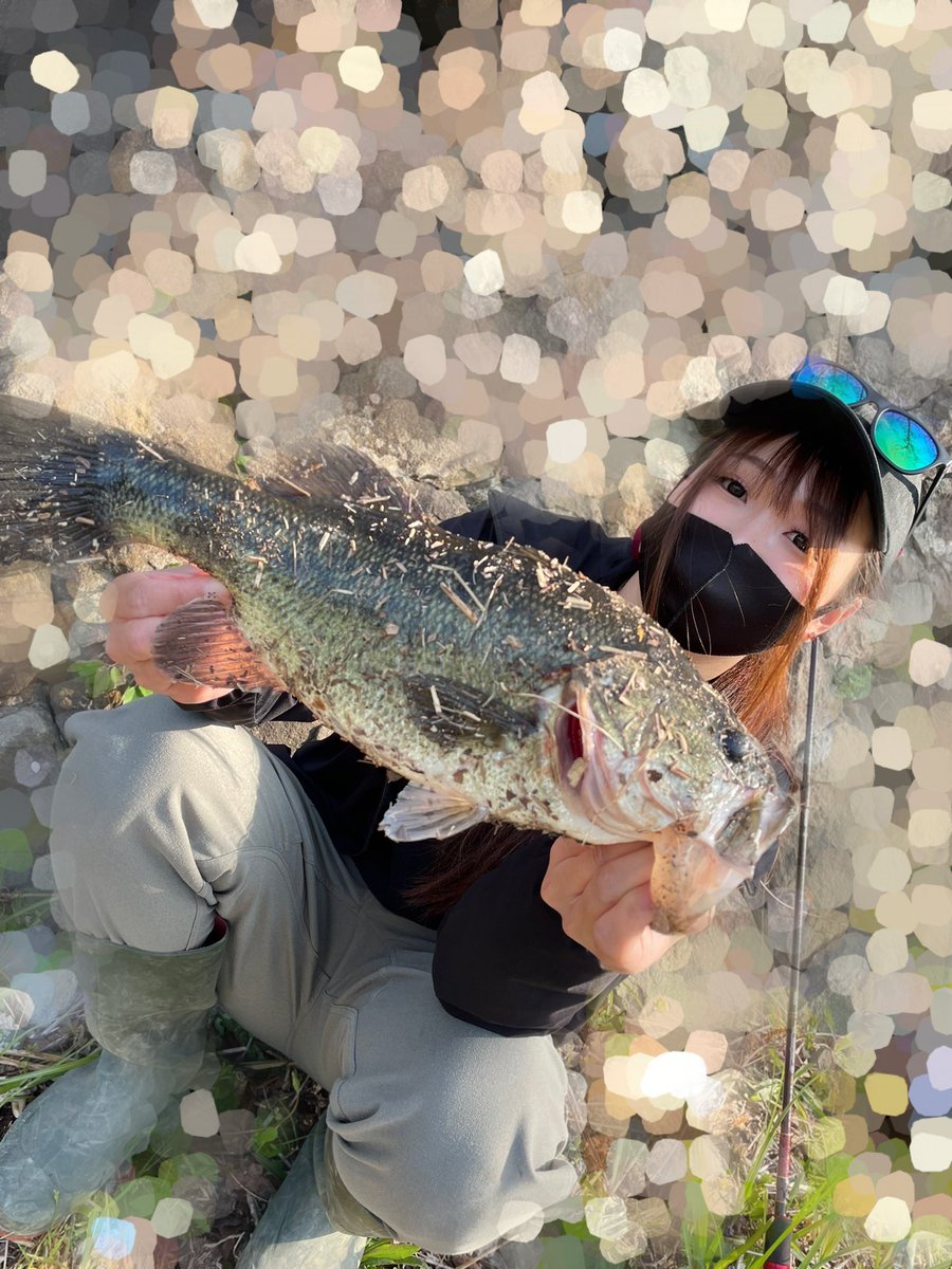 tyblq's tweet photo. サイトで42と48釣れた🎣
その他30ぐらいの何匹かと子バスで10匹ぐらい釣れて満足な1日でした😚 https://t.co/jnF2FnmS7H