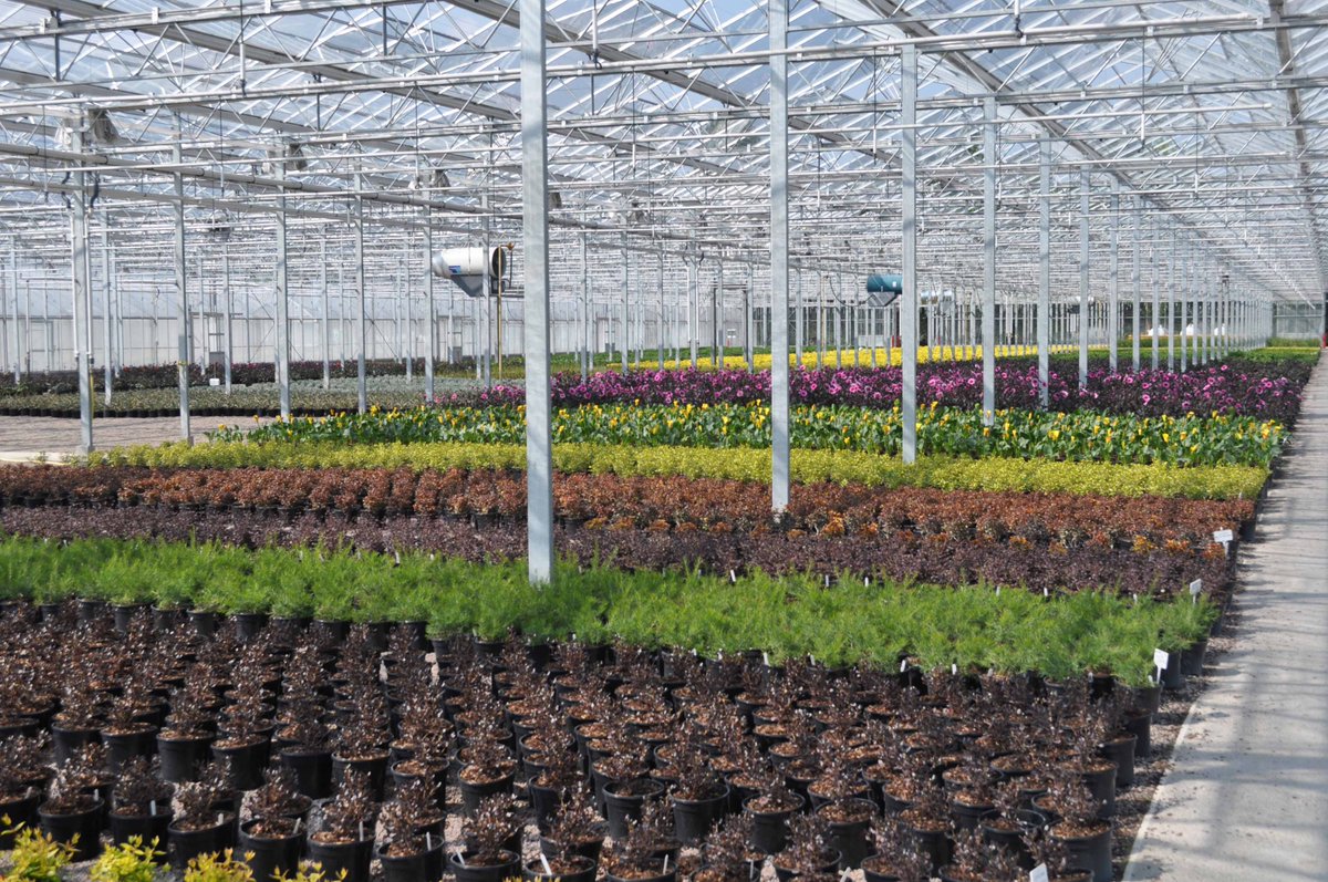 Calling all #plant #breeders! Get in touch if you have a new plant that you think we might be interested in – we are keen to hear from you. #NewPlants #Innovation #British. Please retweet. #ThinkWyevaleNurseries