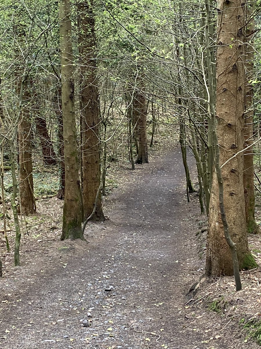 Peace and tranquillity at its best.