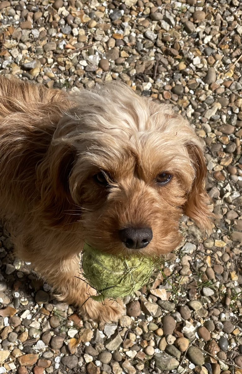 Smiling at this one 💕🎾🎾 #Easter2022 #holidays