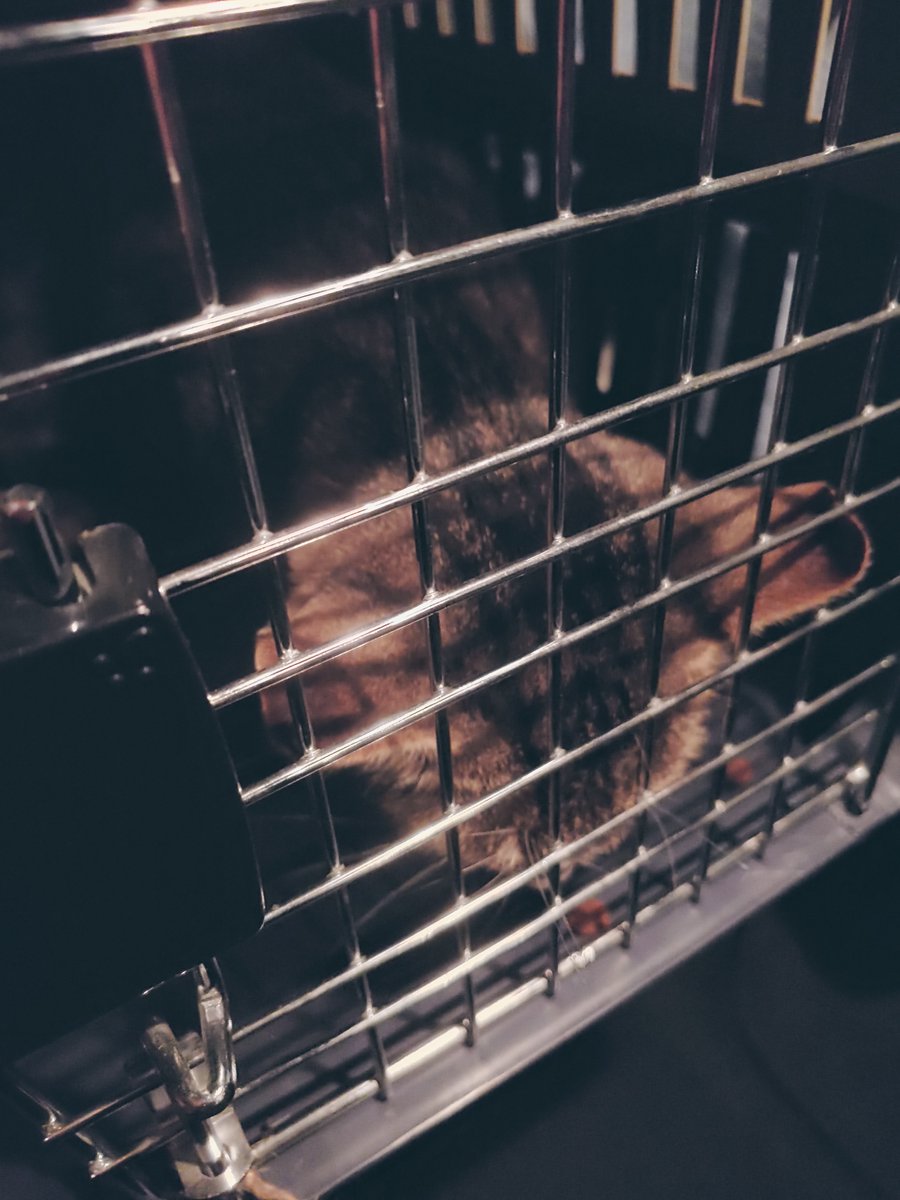 Dean Camera tweet media