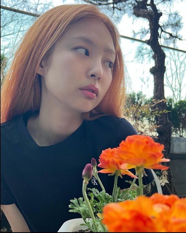 wushymanju's tweet photo. OMGGGGGGGG JENNIE DYE HER FULL HAIR!! 🧡🧡🧡 AAAACKKK IM SHAKINGG!!!! BLACKPINK IS COMINGGG!!! I LOVE YOU NINI ^^ #JENNIE #BLACKPINK #BLACKPINKCOMEBACK #COMEBACKISNEAR #BLACKPINKInYourArea @BLACKPINK https://t.co/tRqbLOGYZG