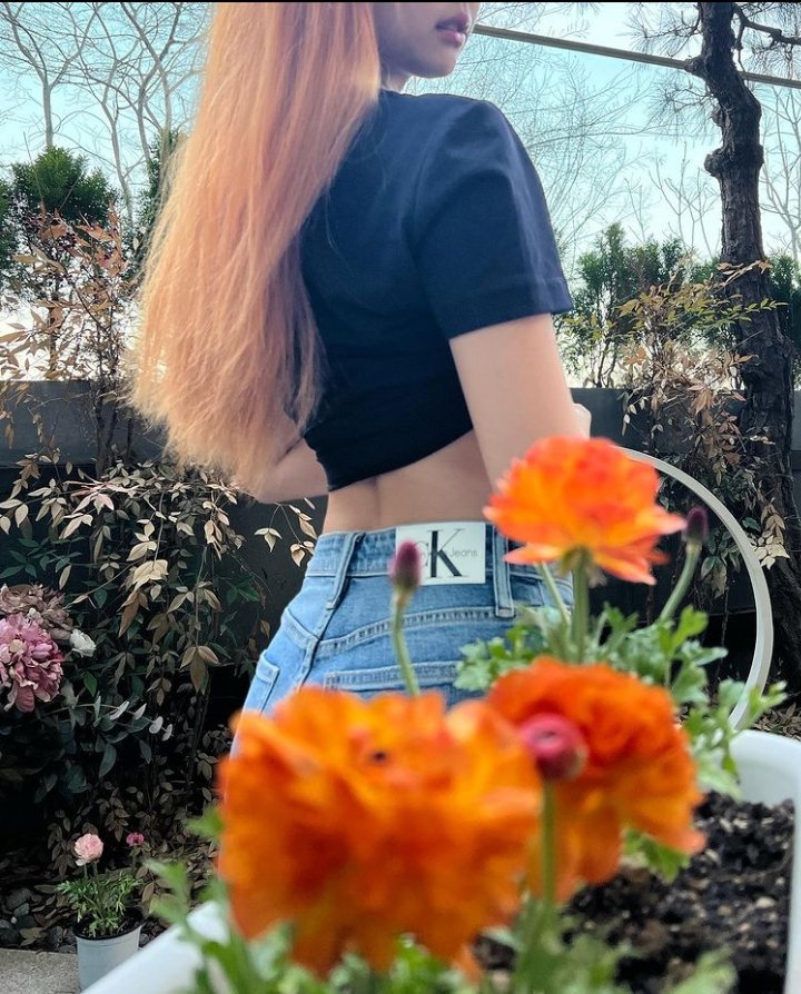 wushymanju's tweet photo. OMGGGGGGGG JENNIE DYE HER FULL HAIR!! 🧡🧡🧡 AAAACKKK IM SHAKINGG!!!! BLACKPINK IS COMINGGG!!! I LOVE YOU NINI ^^ #JENNIE #BLACKPINK #BLACKPINKCOMEBACK #COMEBACKISNEAR #BLACKPINKInYourArea @BLACKPINK https://t.co/tRqbLOGYZG