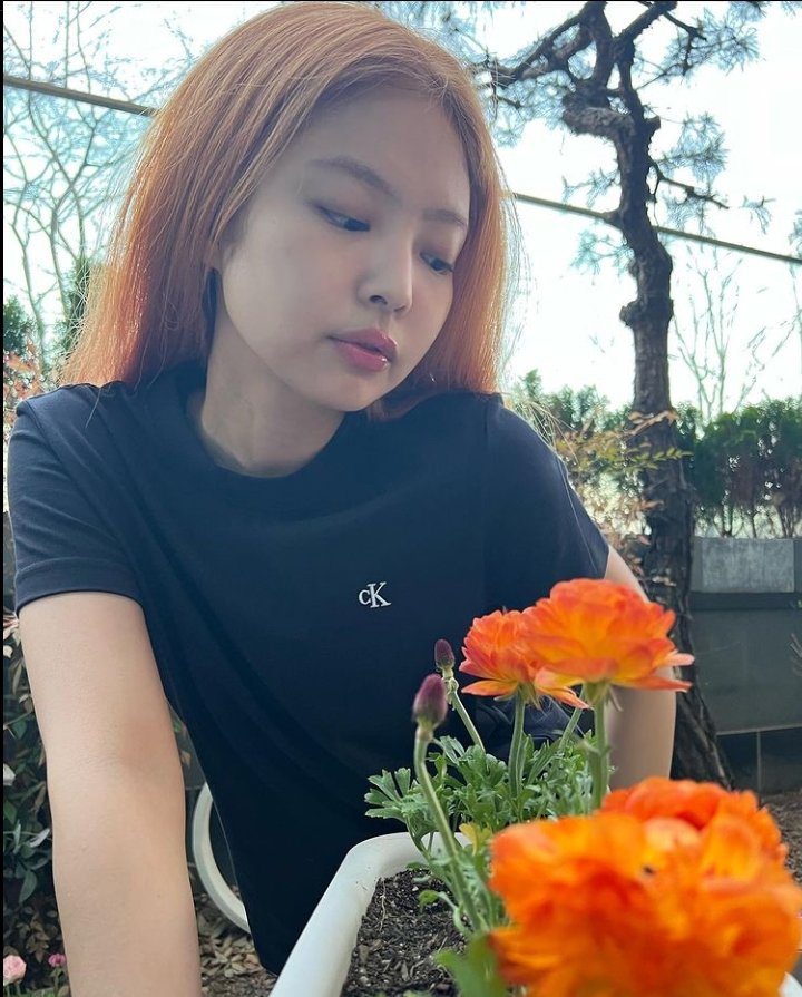 wushymanju's tweet photo. OMGGGGGGGG JENNIE DYE HER FULL HAIR!! 🧡🧡🧡 AAAACKKK IM SHAKINGG!!!! BLACKPINK IS COMINGGG!!! I LOVE YOU NINI ^^ #JENNIE #BLACKPINK #BLACKPINKCOMEBACK #COMEBACKISNEAR #BLACKPINKInYourArea @BLACKPINK https://t.co/tRqbLOGYZG