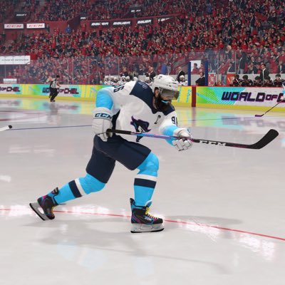 #NovaProfilovka #piratichomutovesports 
#NHL6v6