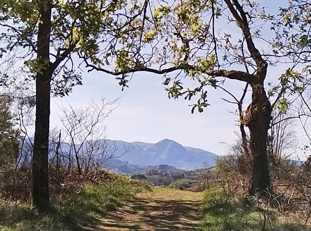 AHojarasca's tweet photo. Hoy en #Basagain nos hemos rodeado de gentes extraordinarias, que han tenido a bien ser bosque con nosotros. Gracias a todos, sois geniales. https://t.co/fAilCgd6zE