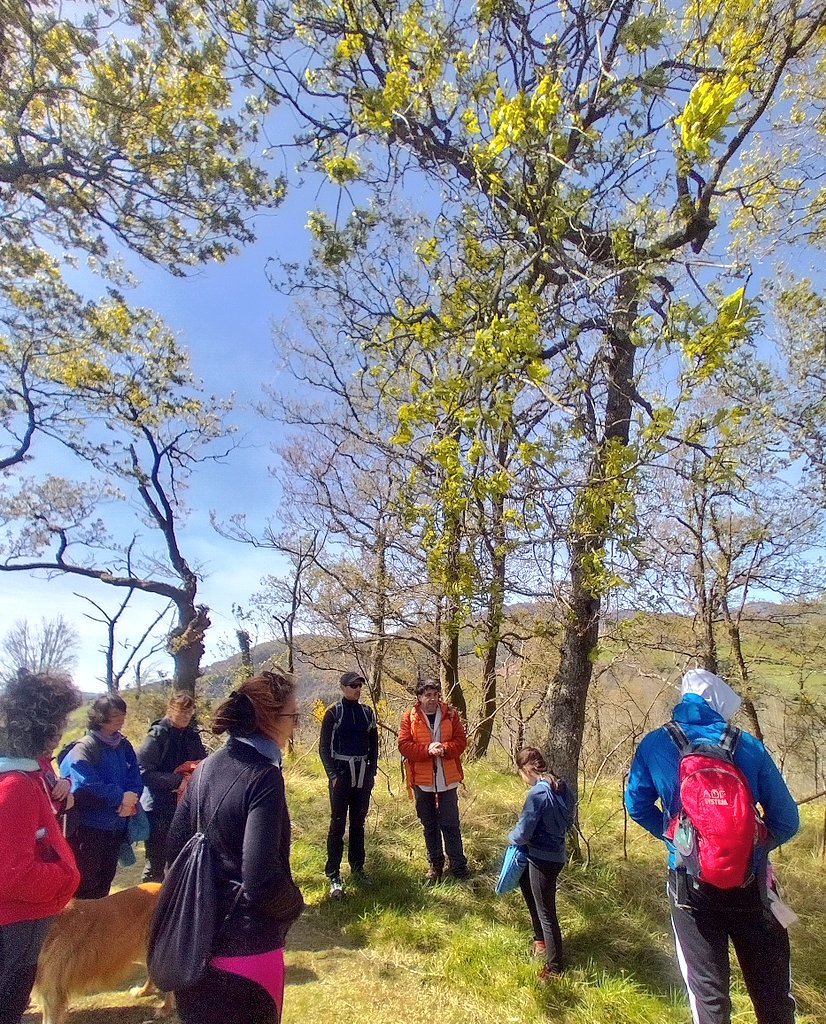 AHojarasca's tweet photo. Hoy en #Basagain nos hemos rodeado de gentes extraordinarias, que han tenido a bien ser bosque con nosotros. Gracias a todos, sois geniales. https://t.co/fAilCgd6zE