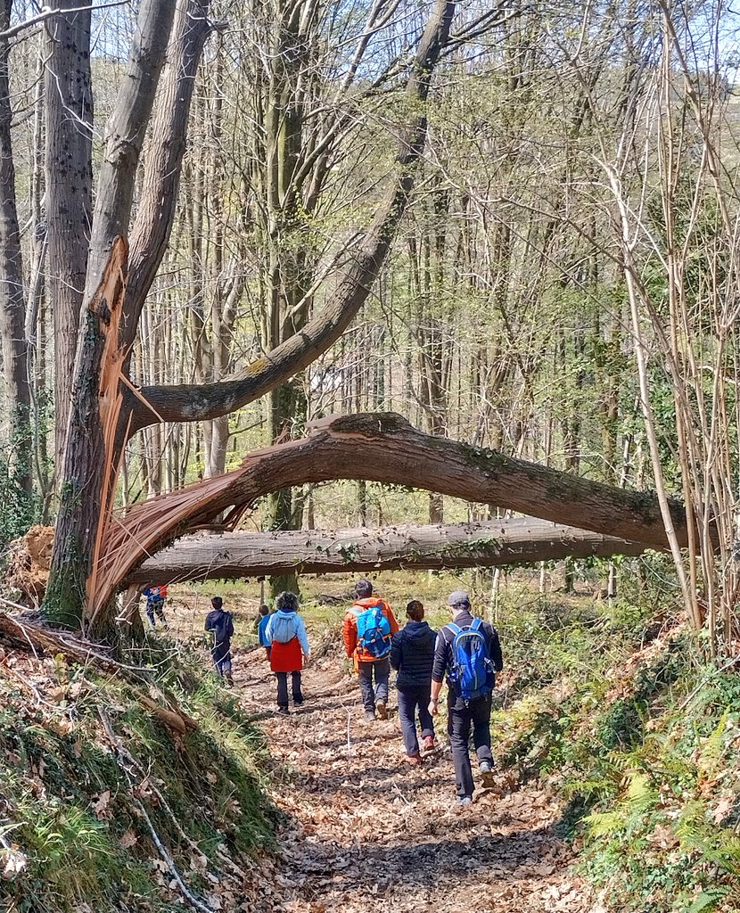 AHojarasca's tweet photo. Hoy en #Basagain nos hemos rodeado de gentes extraordinarias, que han tenido a bien ser bosque con nosotros. Gracias a todos, sois geniales. https://t.co/fAilCgd6zE