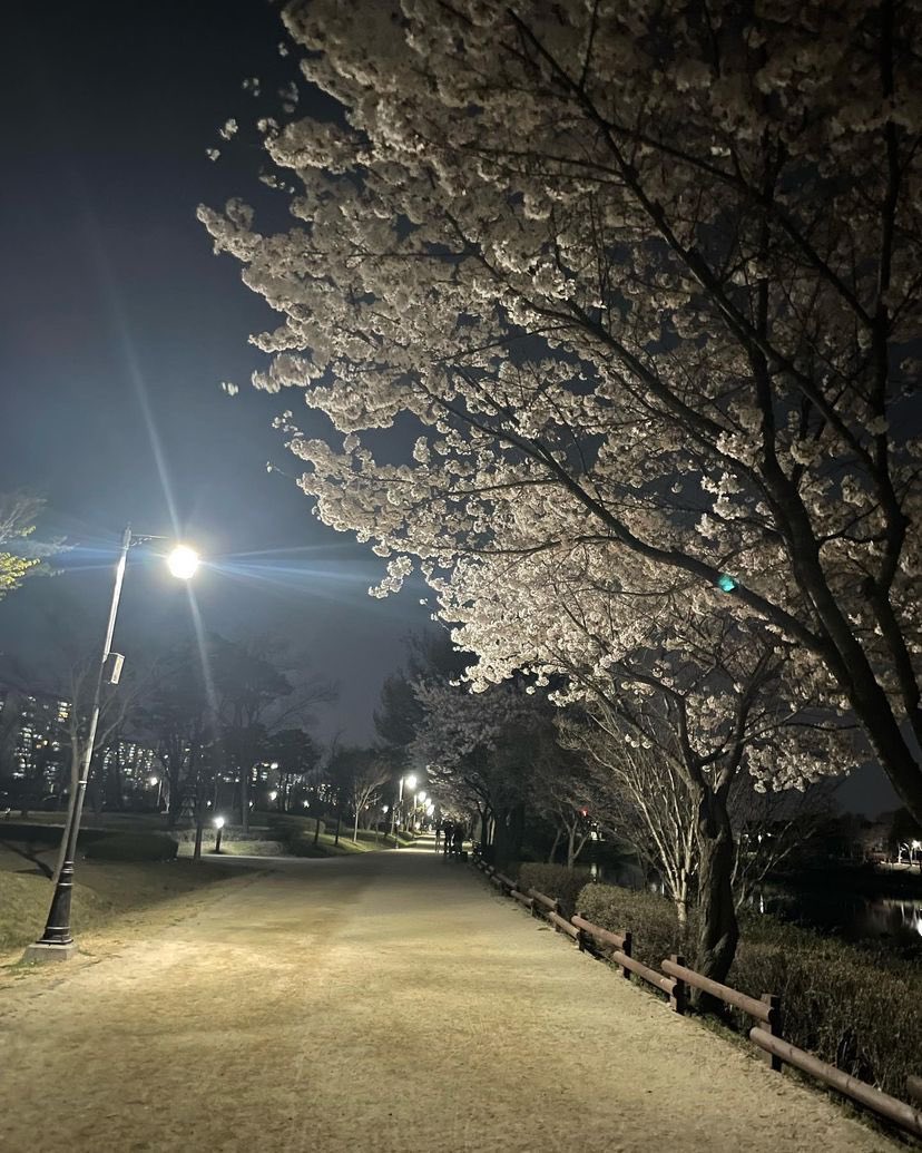 도영 @.@ tweet media