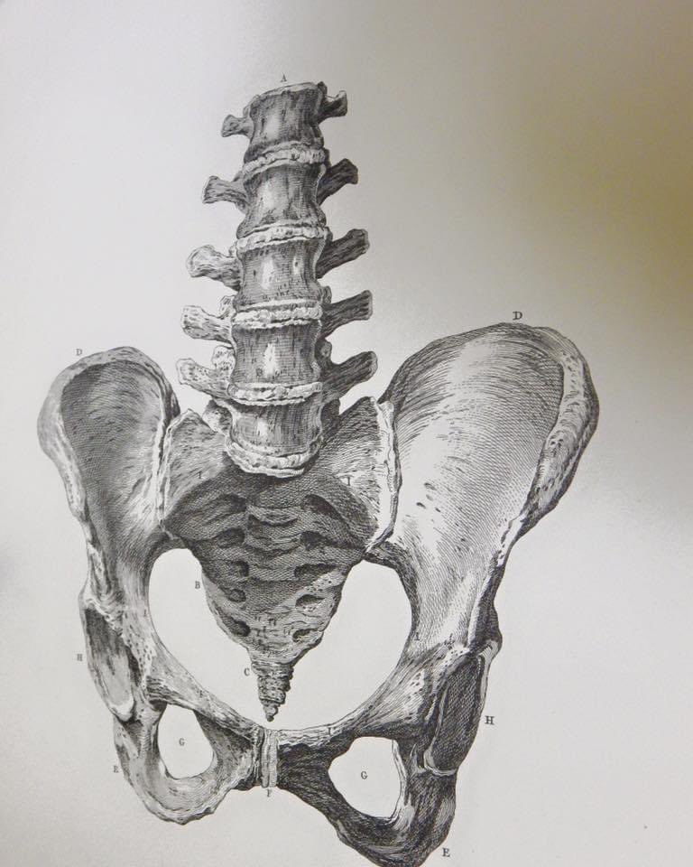 IMSS_Chicago's tweet photo. A beautiful illustration from "The Practice of Midwifery," written by William Smellie in the 1700's in London. #imsschicago https://t.co/Kg5R7pKEyX