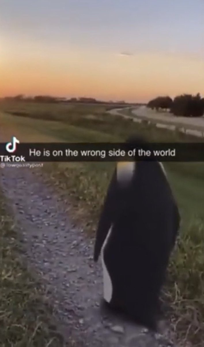 DValjee's tweet image. 