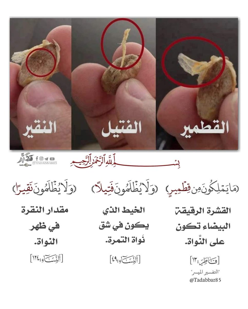 139Ishaq's tweet photo. سبحان الله عظمة الوصف https://t.co/VtzJeh0AZo