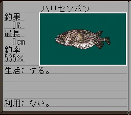 画像 / Picture