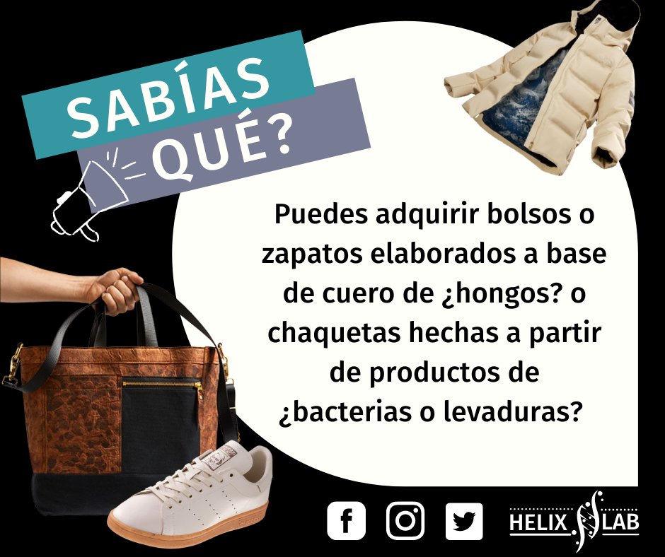 HelixEc's tweet photo. ¿𝐒𝐚𝐛𝐢́𝐚𝐬 𝐪𝐮𝐞́❓ Se ha creado un nuevo cuero ecológico y vegano derivado de hongos 😱

🧐🧐¡Esto no es lo único interesante que se puede hacer con microorganismos! También puedes pintar con ellos en nuestro concurso de Agar Art 👨‍🔬 (1/2) https://t.co/cRyURrRE3U