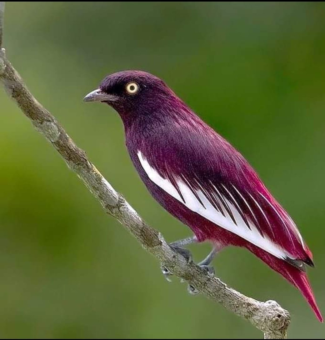 Jobs in Kenya tweet media