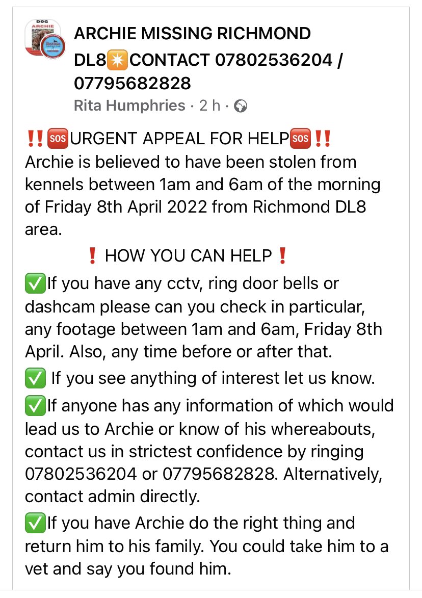 x_tasha02_x's tweet photo. Please, if you see this, share it far and wide. My Uncle’s dog has been missing since Friday, after their kennels were broken into. My cousin is absolutely inconsolable. Archie is one of the sweetest dogs I have ever met, and we miss him so much. Please help to get him home https://t.co/xM4NyLG1E6