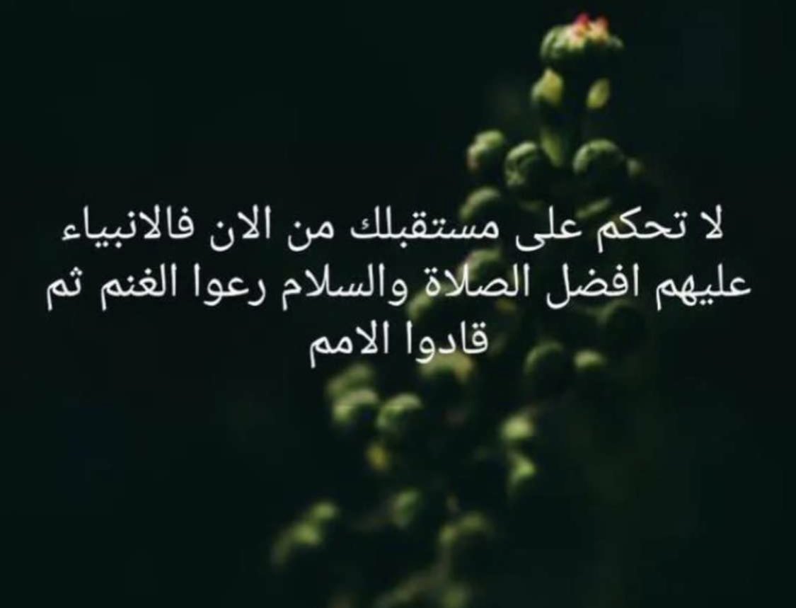 -السيف الاجراب - (@rrr81870726) on Twitter photo 