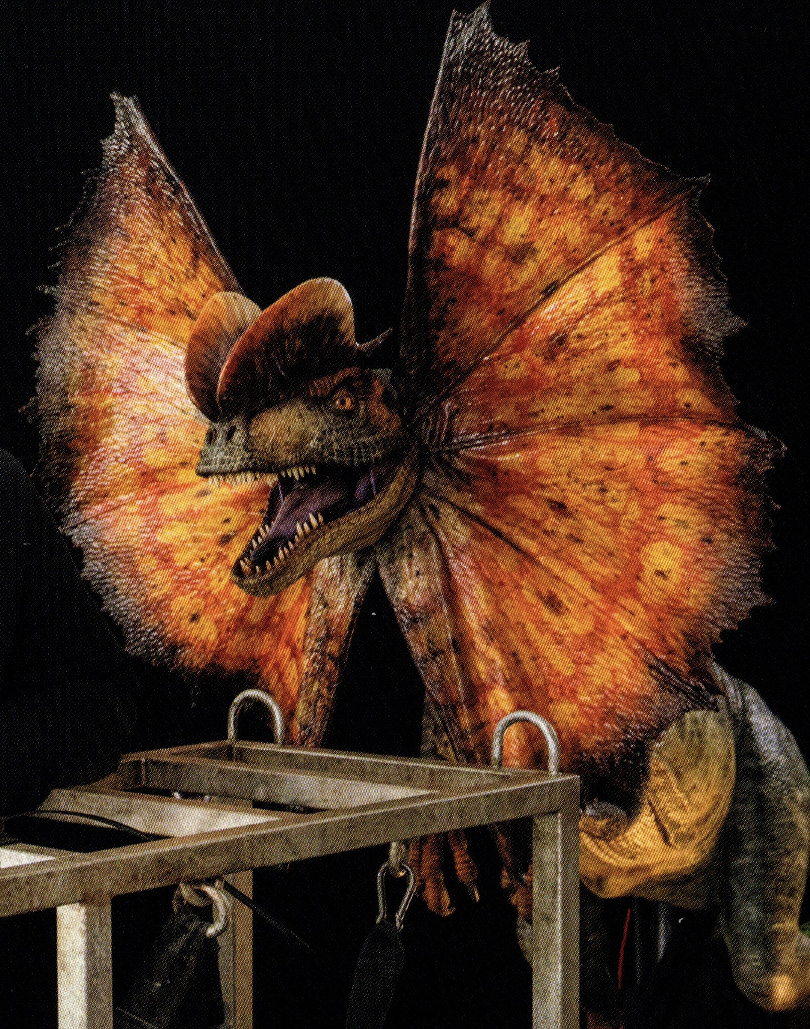 FP_OrlqX0AUSrAy?format=jpg&name=large