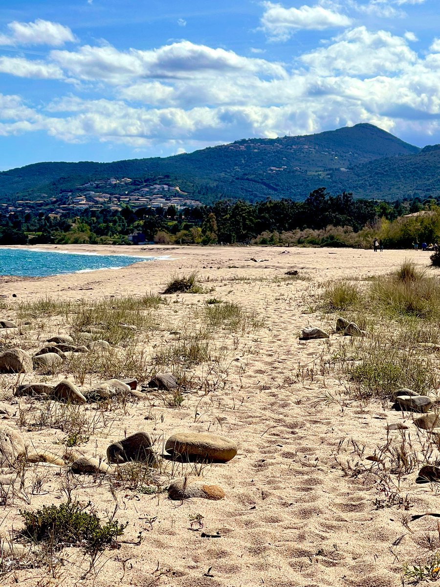 lucchini_alec's tweet image. #solaro &amp;gt; #solenzara 🌸 #veranu