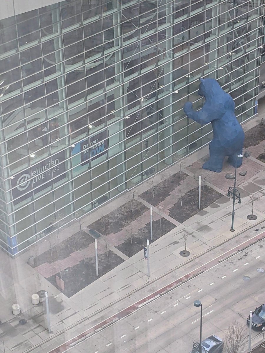 TimDawsonHIED's tweet image. The Big Blue Bear is looking for you.  #elive2022 #hied #hiedtech #ellucian