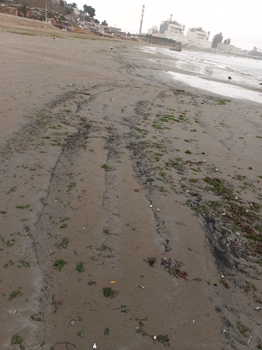 DunasdeRitoque's tweet photo. Hoy nuevo varamiento de carbón en playa Ventanas #Puchuncaví , ayer también hubo. Termoeléctricas #AESGener @PJudicialChile La eterna tragedia https://t.co/V7dUkHXPSN