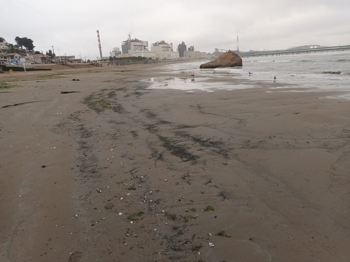DunasdeRitoque's tweet photo. Hoy nuevo varamiento de carbón en playa Ventanas #Puchuncaví , ayer también hubo. Termoeléctricas #AESGener @PJudicialChile La eterna tragedia https://t.co/V7dUkHXPSN