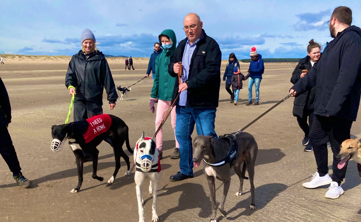 Greyhound Rescue Fife tweet media