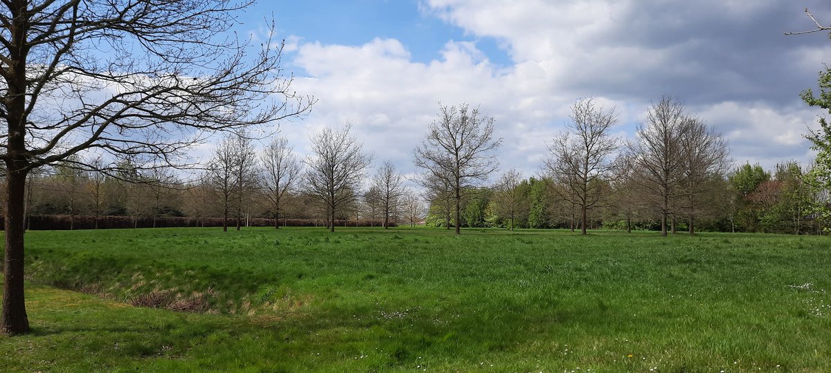 SamQuackelbeen's tweet photo. Zalig wandelweer https://t.co/auosCCqX5l