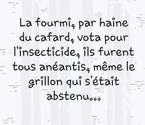 ShirleyCh 🧡🧡🧡 tweet media