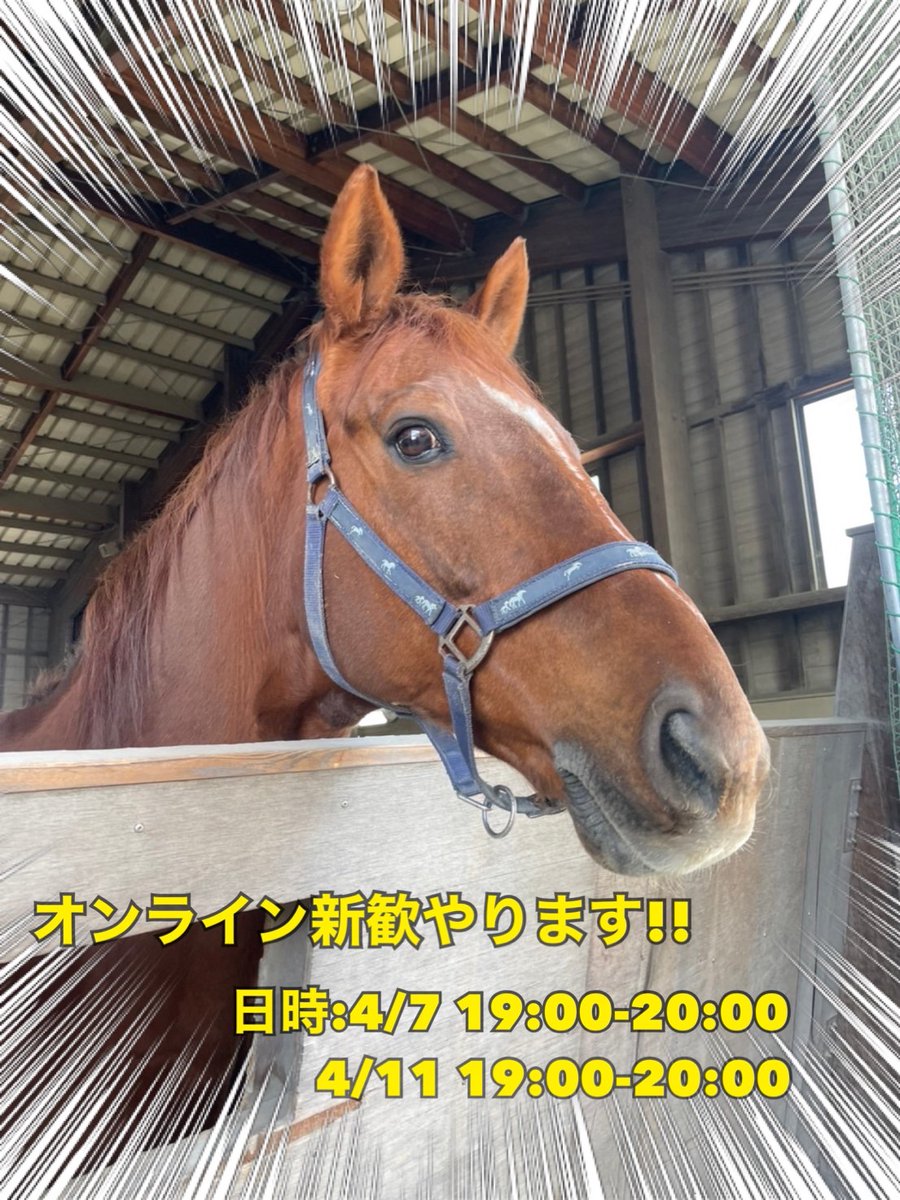 明日、4/11(月)19:00-20:00にオンライン新歓を行います！
ブレイクアウトルームでの学科・専攻別の交流も予定しています🙌部活のことはもちろん、大学生活、バイト、勉強の事など色々お話できたらと思います🗣

参加希望の方は、新歓隊長のLINEかDMにご連絡下さい！
沢山のご参加お待ちしております☺️